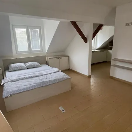 Riverfood&party Centar Aktivnog Odmora * Beocin