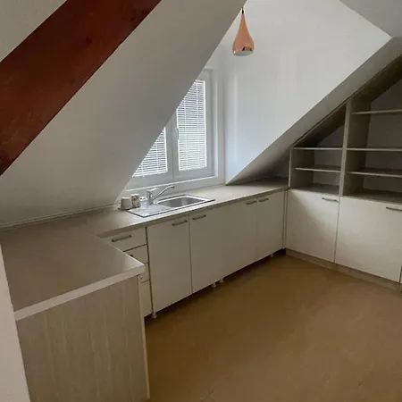 Riverfood&party Centar Aktivnog Odmora Beocin