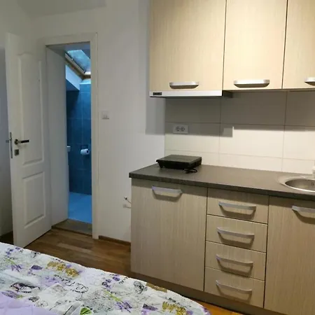 Lejlighed Riverfood&party Centar Aktivnog Odmora Beocin