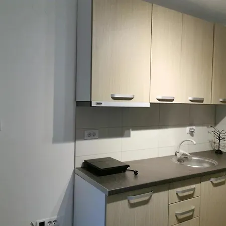 Lejlighed Riverfood&party Centar Aktivnog Odmora Beocin